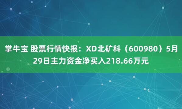 掌牛宝 股票行情快报：XD北矿科（600980）5月29日主力资金净买入218.66万元