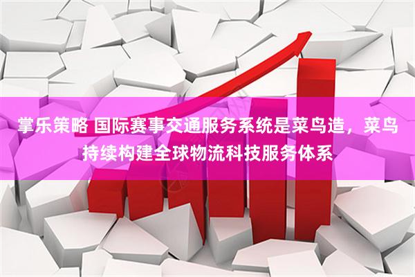 掌乐策略 国际赛事交通服务系统是菜鸟造，菜鸟持续构建全球物流科技服务体系