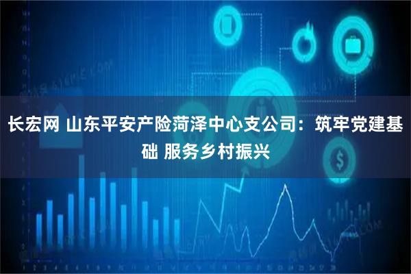长宏网 山东平安产险菏泽中心支公司：筑牢党建基础 服务乡村振兴