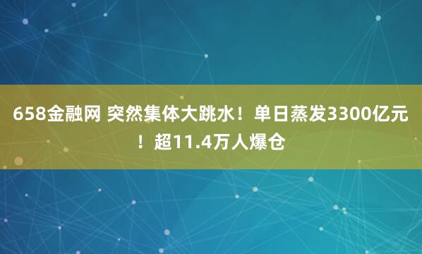 658金融网 突然集体大跳水！单日蒸发3300亿元！超11.4万人爆仓