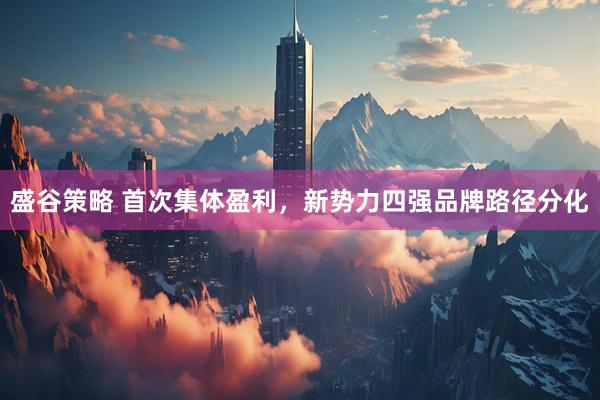 盛谷策略 首次集体盈利，新势力四强品牌路径分化